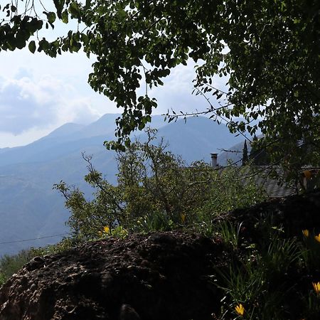Μικρή Ζήρεια Ενοικιαζόμενη Κατοικία Synikia Mesi Trikalon Екстериор снимка