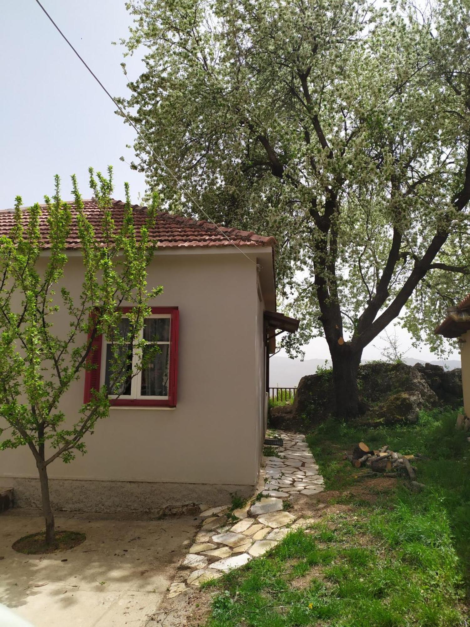 Μικρή Ζήρεια Ενοικιαζόμενη Κατοικία Synikia Mesi Trikalon Екстериор снимка